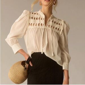 IN SEARCH OF!!!! Self Contrast Puff-Sleeve Blouse Anthropologie